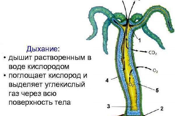 Магазин даркнета