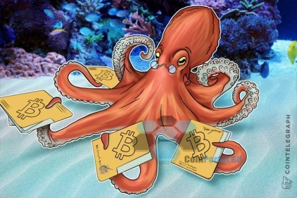 Kraken как найти ссылку